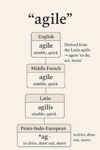 Agile kelime anlamı